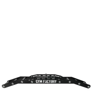 W2 Handle Attachment for cable gym machines