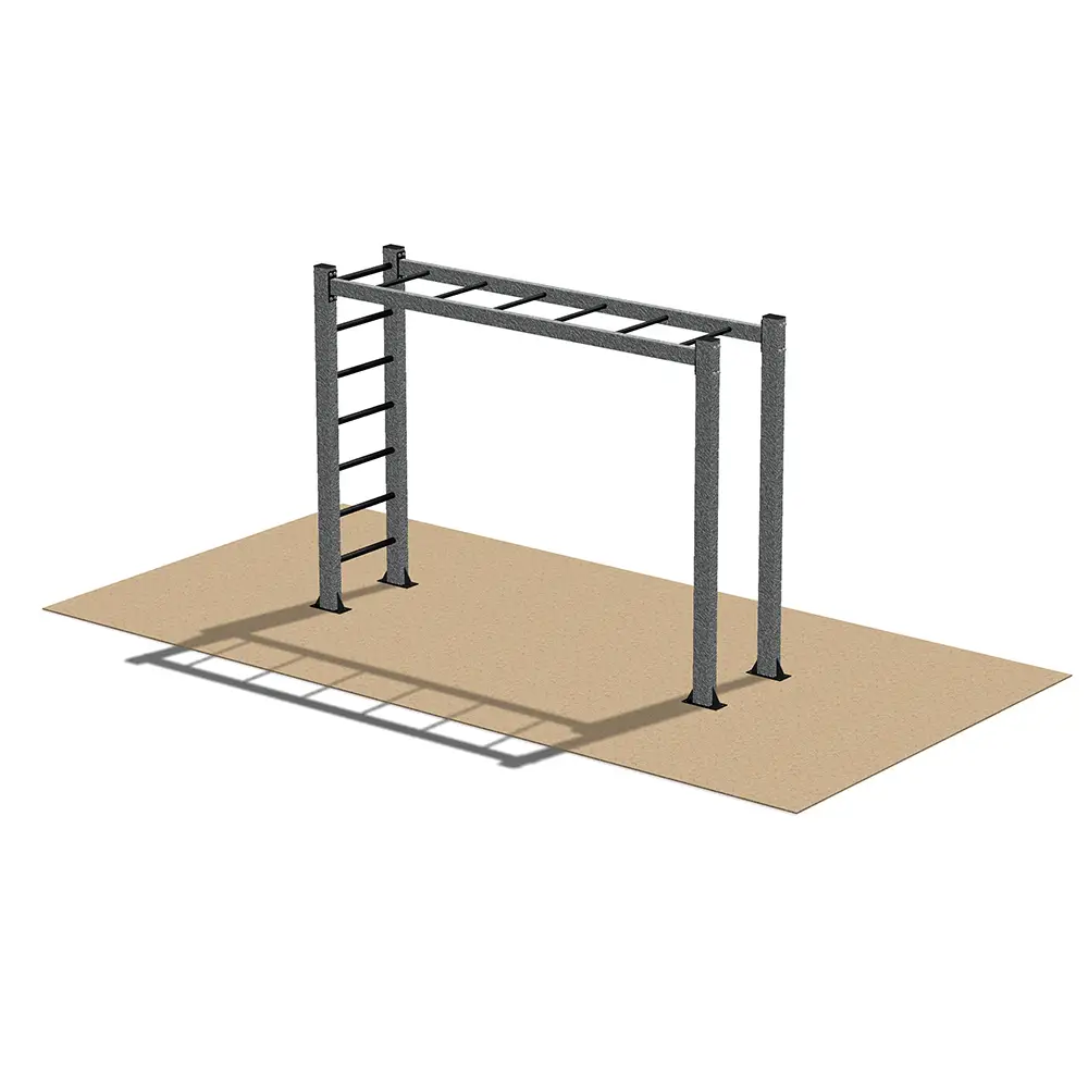 Strength-training exercises monkey bars frame with evenly spaced horizontal rungs supported by four vertical posts and a side ladder, ideal for bodyweight training, grip strength development, and functional fitness workouts.