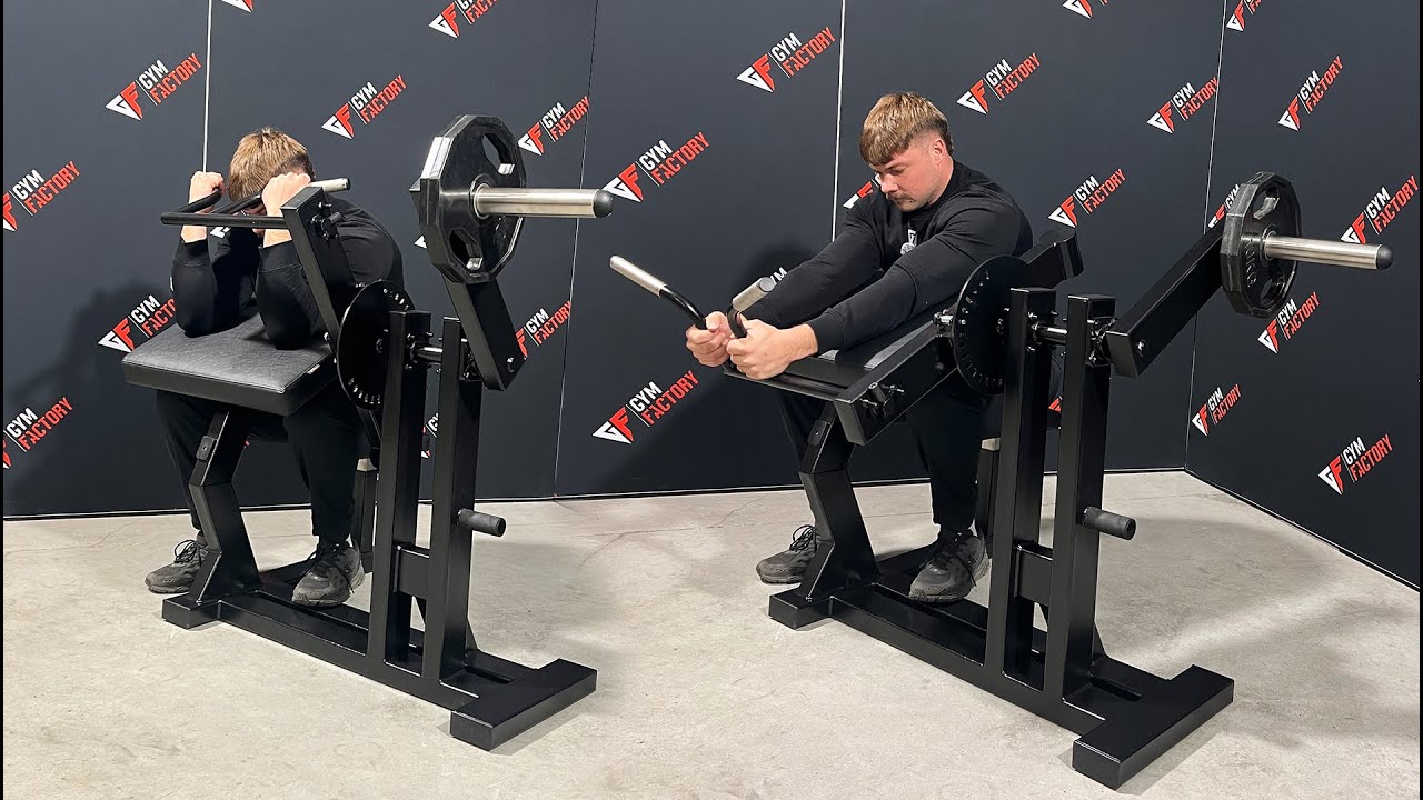 Gymfactory.eu / Biceps and Triceps Machine (F3)