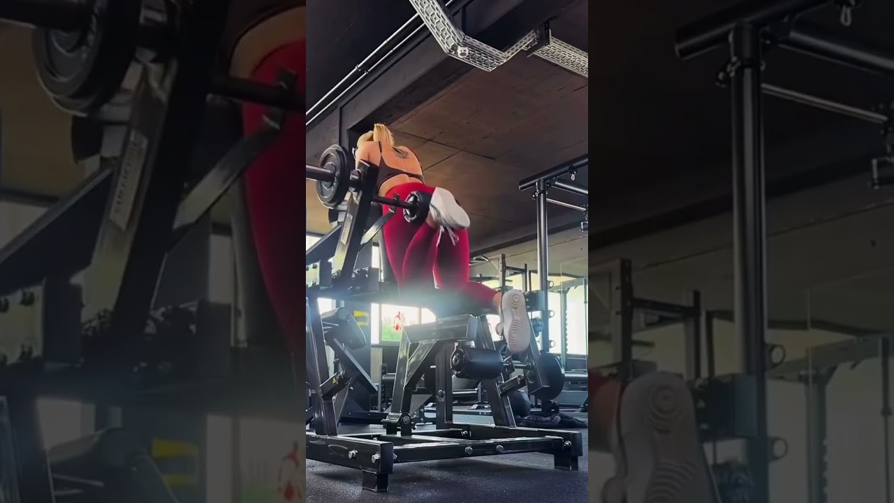 Gymfactory.eu / D5X Leg Curl Machine