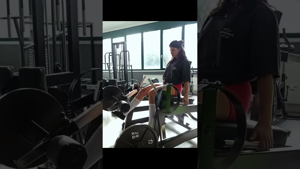 Gymfactory.eu / D6 Leg Extension Machine
