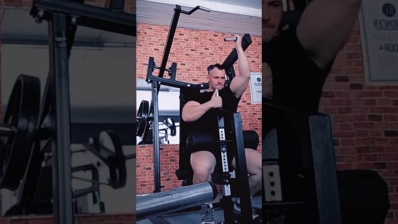 Gymfactory.eu / A6XL Back and Chest Machine