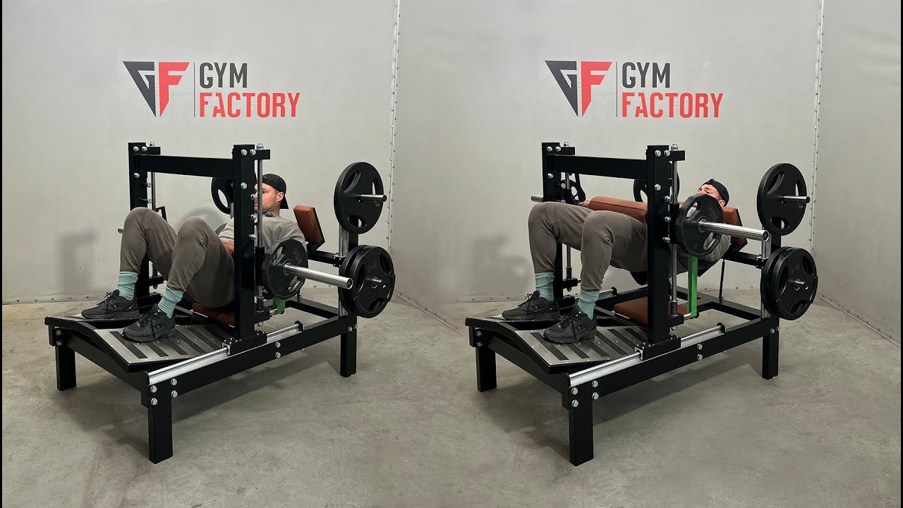 Gymfactory.eu /  Hip Thrust Machine (Z16Y)