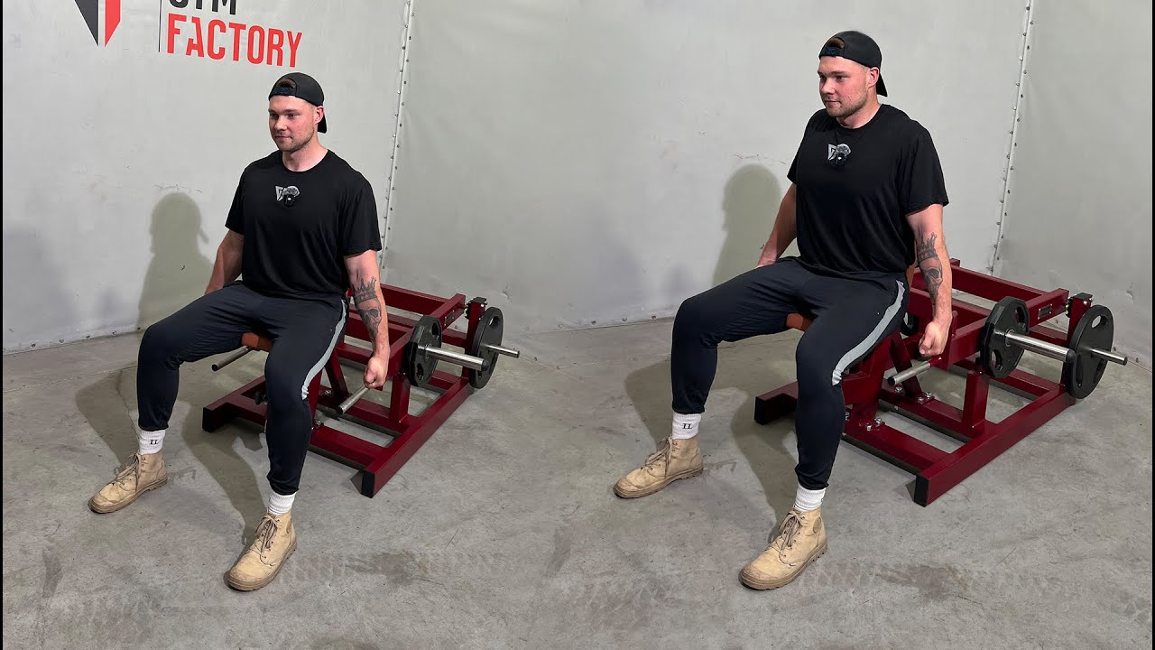 Gymfactory.eu / Shrug Machine (G2)