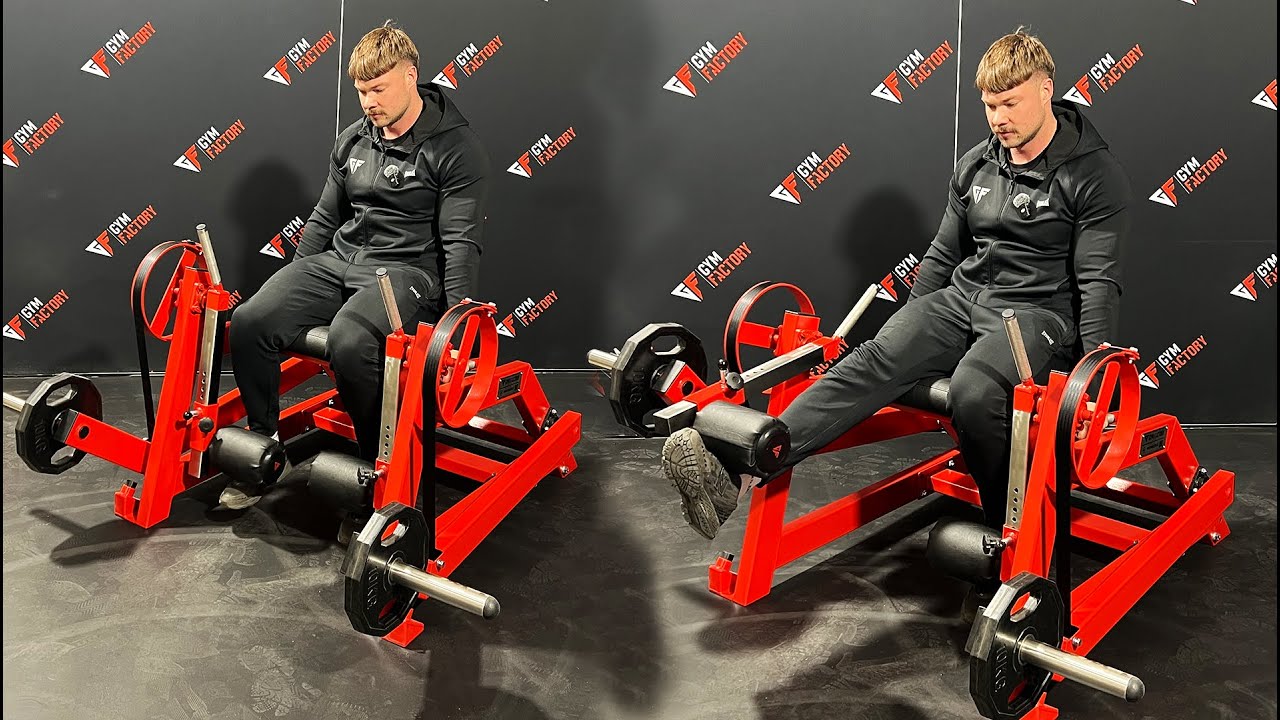 Gymfactory.eu / Leg Extension Machine (D6)