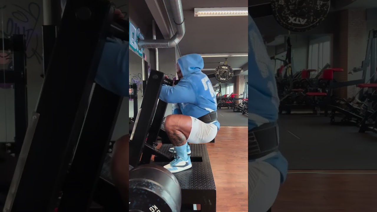 Gymfactory.eu / D8X Belt Squat Machine
