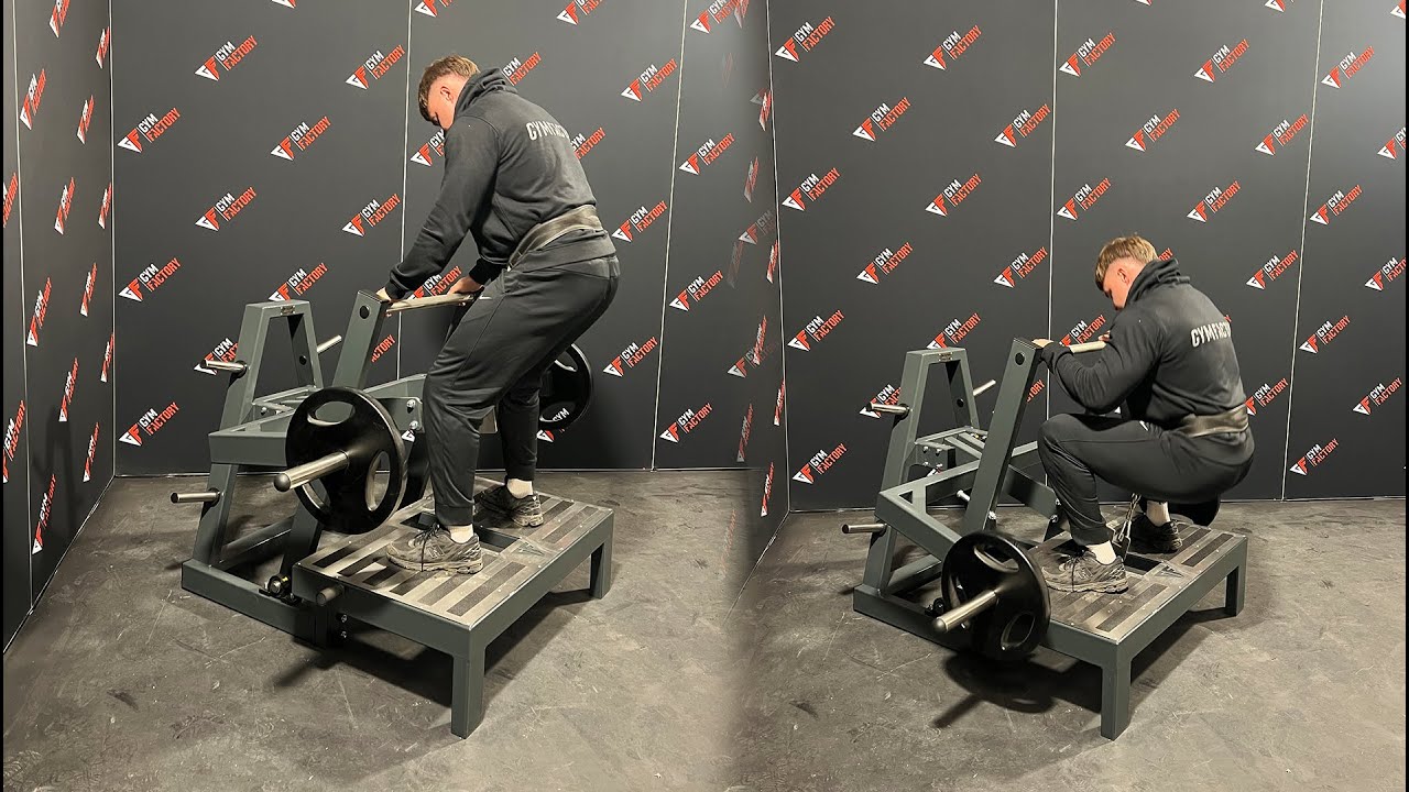 Gymfactory.eu / D8X Belt Squat Machine