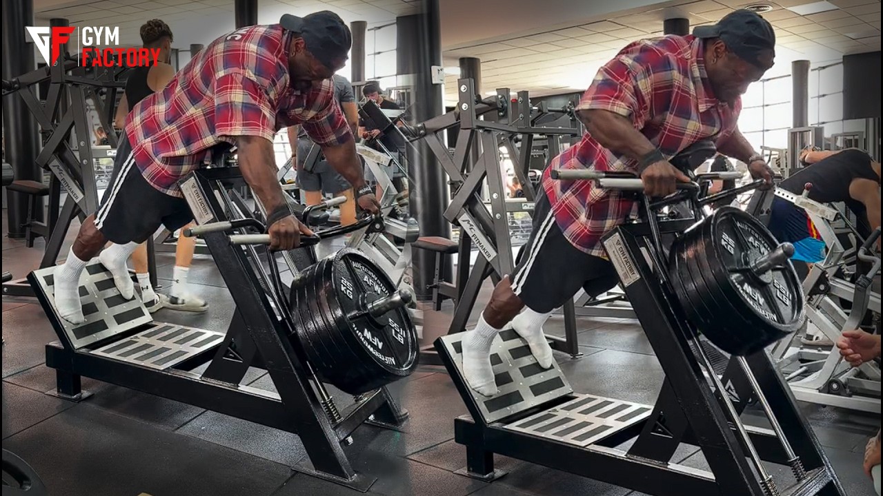 T-Bar Linear Row (L7YX) / www.gymfactory.eu