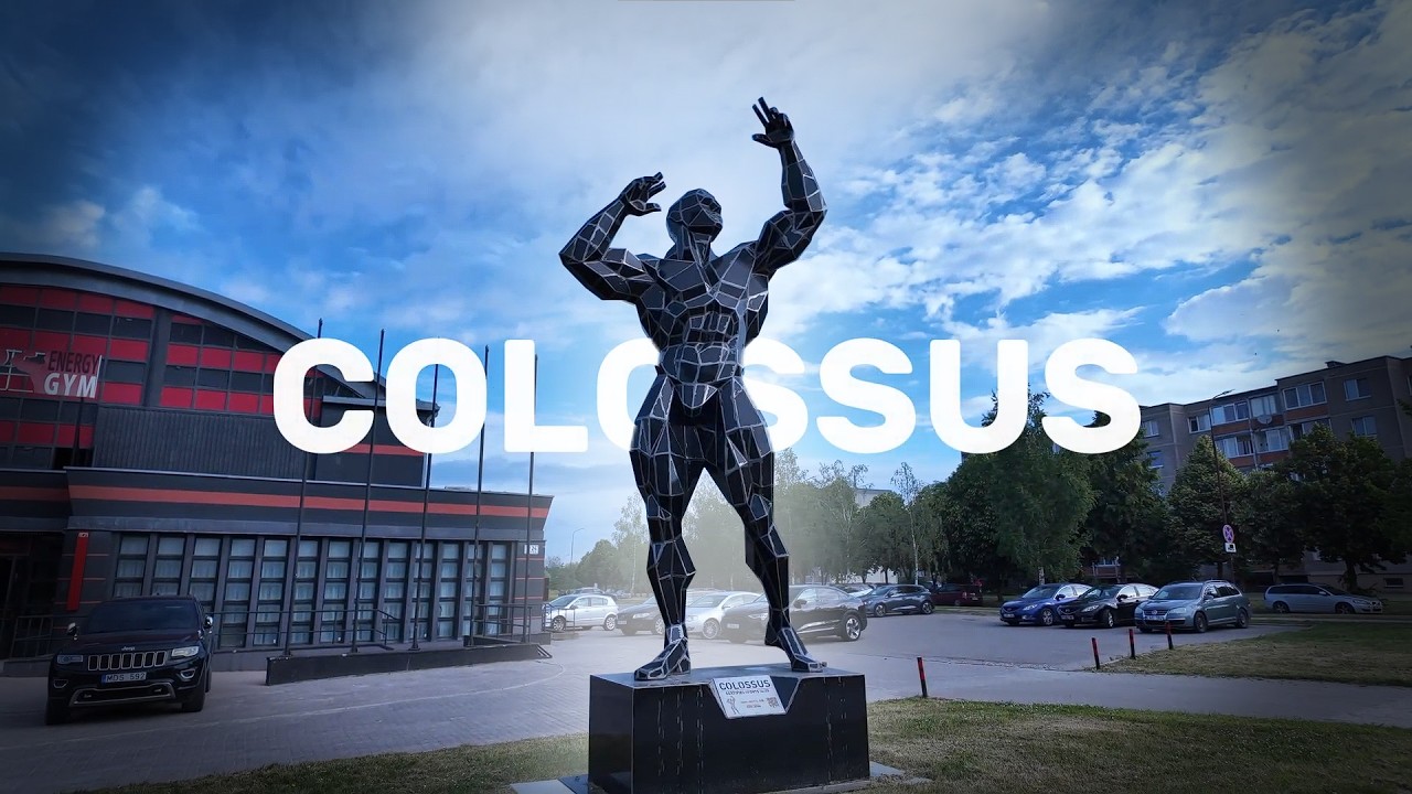 GFV Colossus / www.gymfactory.eu